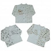 "�����" �������� ����� "�����" ��016